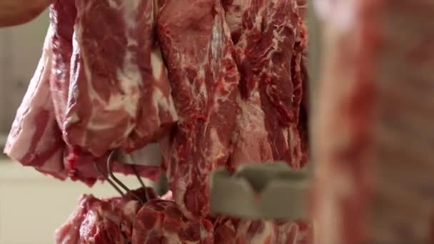 Pedaços de carne são pendurados em ganchos — Vídeo de Stock