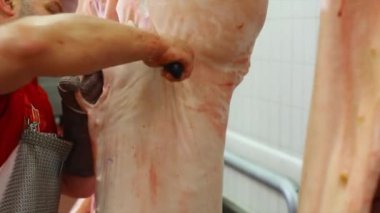 Kasap et atölyede domuz leşleri dilimler