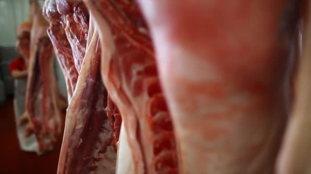 Carnicero rebanadas canales de cerdo en el taller de carne — Vídeo de stock