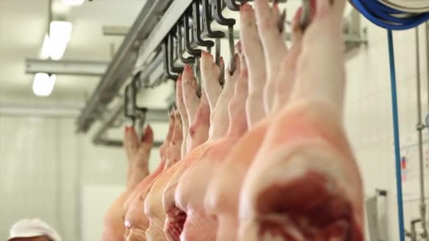 Carnicero rebanadas canales de cerdo en el taller de carne — Vídeos de Stock