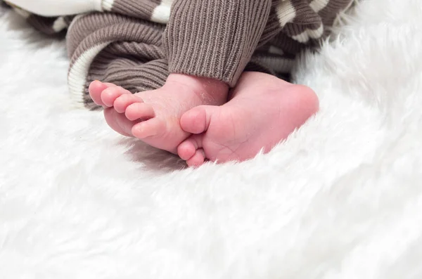 Legs Little Newborn Baby Boy White Coverlet — Stock Photo, Image
