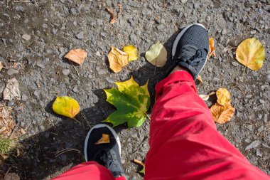 bacaklar siyah spor ayakkabı ve düşen sonbahar yaprakları ile asfalt üzerinde kırmızı pantolon.