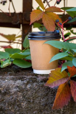 Kağıt bardak kahve sonbahar yaprakları Beton yüzey üzerinde