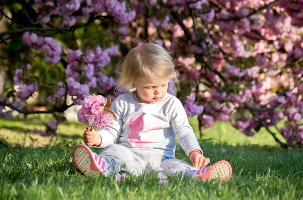 Niña Rubia Sienta Hierba Juega Jardín Cerezos Con Flores — Foto de Stock