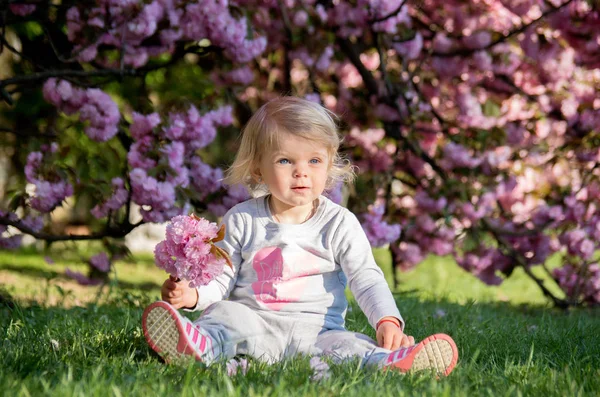 金髪少女は草の上に座っているし 花が咲く桜庭で遊ぶ — ストック写真