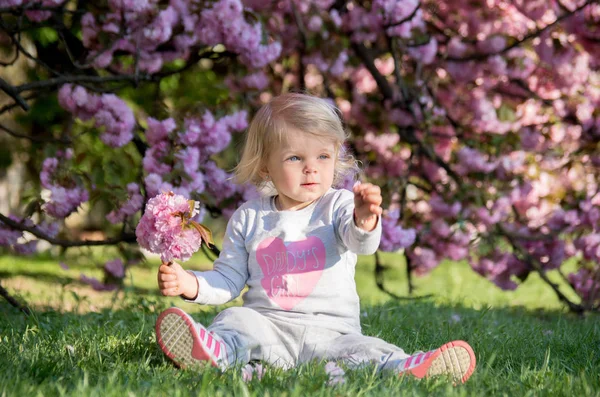 Little Blonde Girl Sits Grass Plays Flowered Cherry Garden — Stock Photo, Image