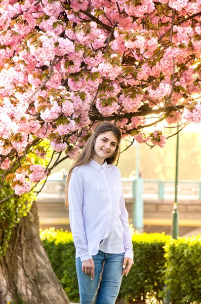 Porträt eines jungen Teenagermädchens beim Anblick eines blühenden Sakura-Baumes — Stockfoto