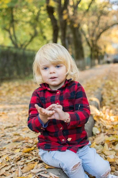 Retrato Una Niña Rubia Sobre Fondo Follaje Otoñal —  Fotos de Stock