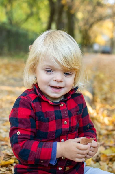 Retrato Una Niña Rubia Sobre Fondo Follaje Otoñal — Foto de Stock