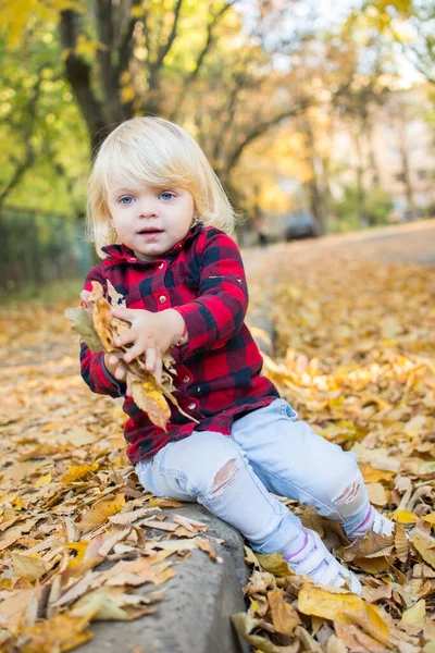 Little Girl Blue Eyes Sitting Fallen Leaves Playing Fun — Stock Photo, Image