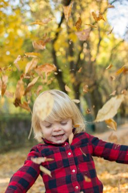 Düşen yaprakların üzerinde mavi gözlü küçük kız eğleniyor.