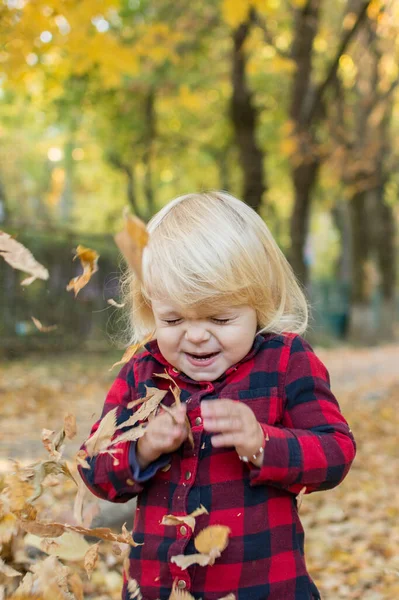Маленькая Девочка Голубыми Глазами Опавших Листьях Играть Весело — стоковое фото
