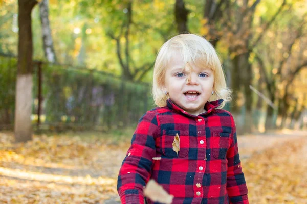 Little Girl Blue Eyes Fallen Leaves Playing Fun — Stock Photo, Image