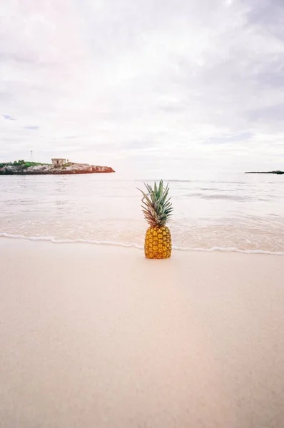 Pineapple on the Beach