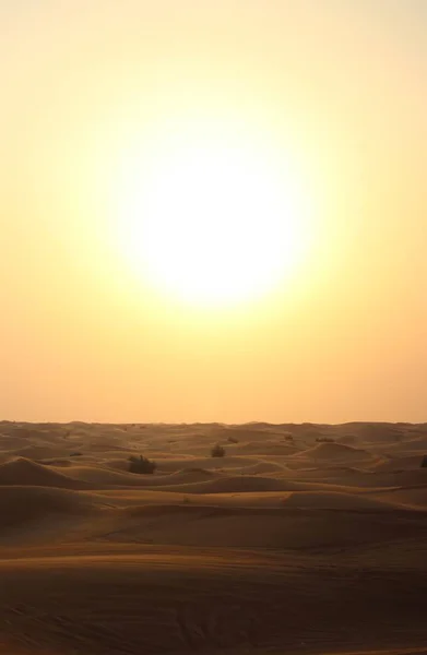 sunset yellow sky in sand desert