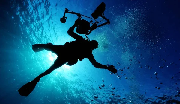 Underwater sho of people Diving  in the ocean