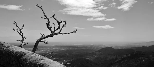 Hilly landscape in black and white