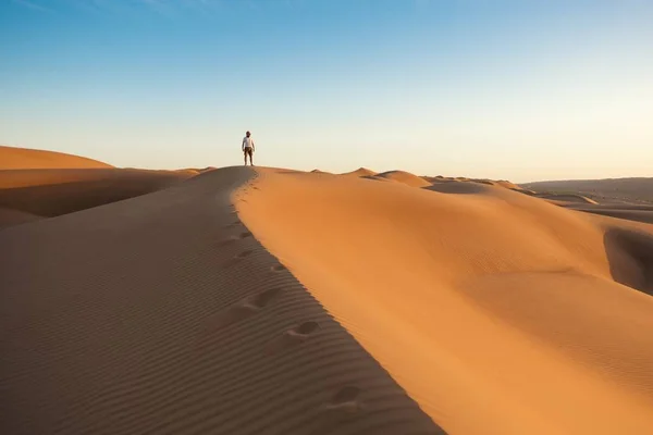 Alone in the vast Desert
