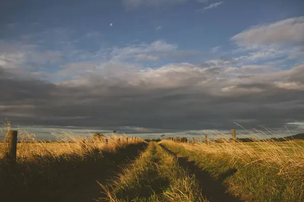 Cloudy sky in the  field