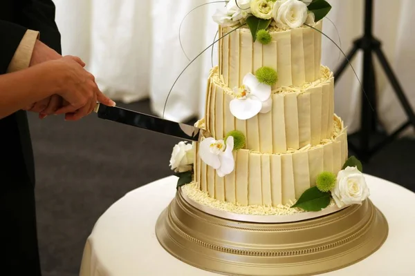 close up of person cutting Anniversary Cake