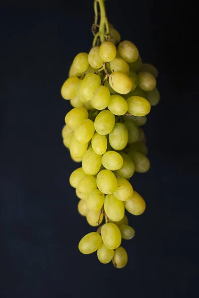 close up of green Grapes
