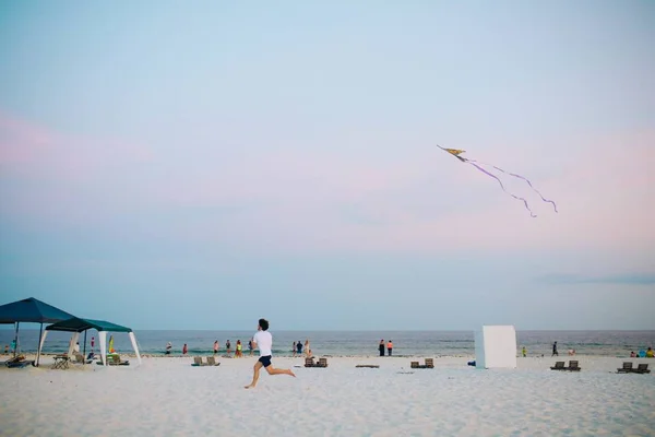 Kite fly on the beach