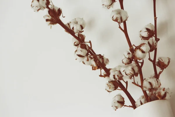 Fluffy Cotton branches in white vase