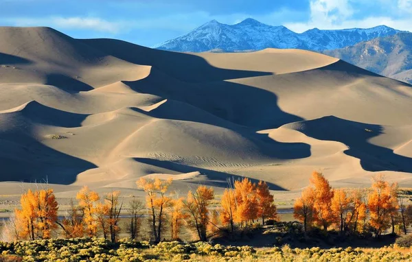 Sand Dunes in desert with mountains