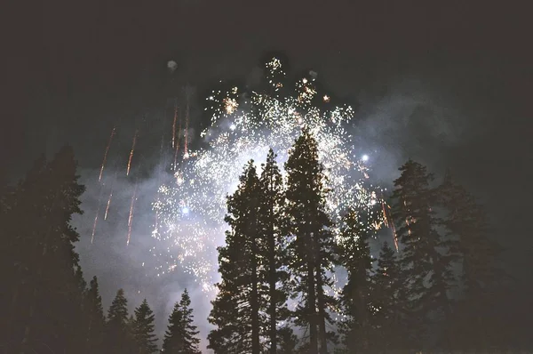 Fireworks in the Woods
