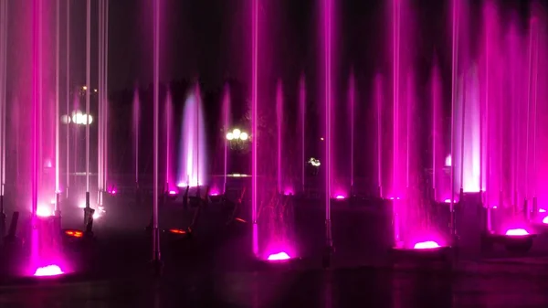 Pink Water Fountain at night