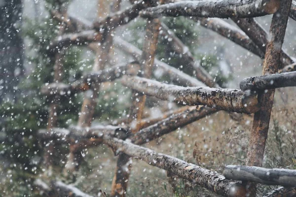 Wooden Barrier in forest in snow storm