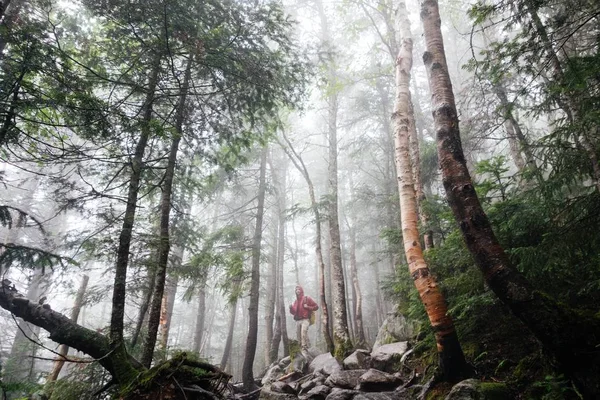 Hiking through the woods