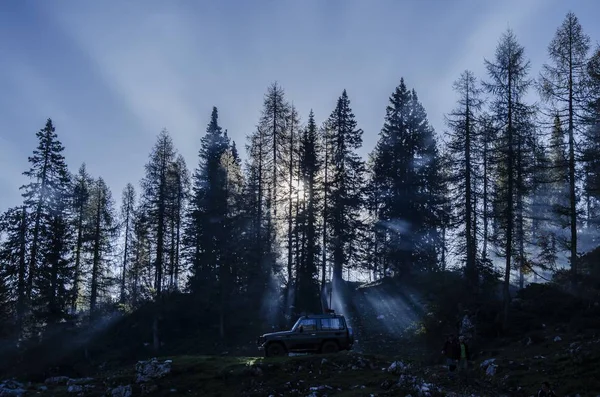 Rays of sunshine through forest with old car