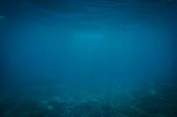 Underwater shot of Blue Ocean