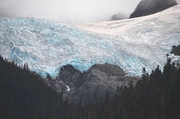 Frozen Glacier with trees