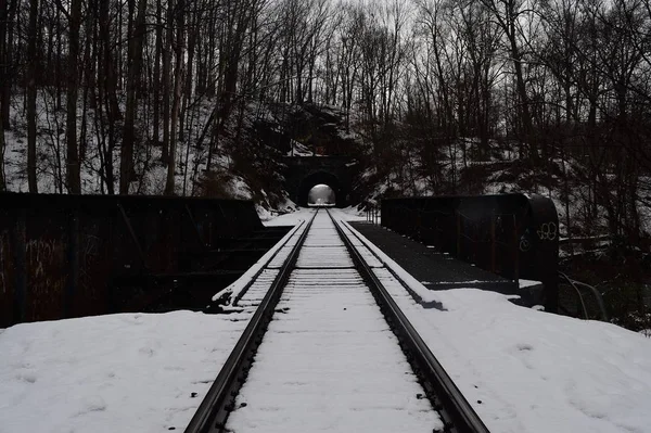 Railway Track metal