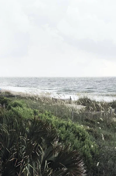 Sea beach at day time