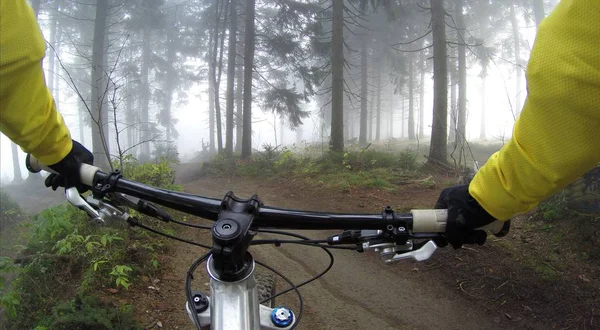 Rider on bike in foggy forest