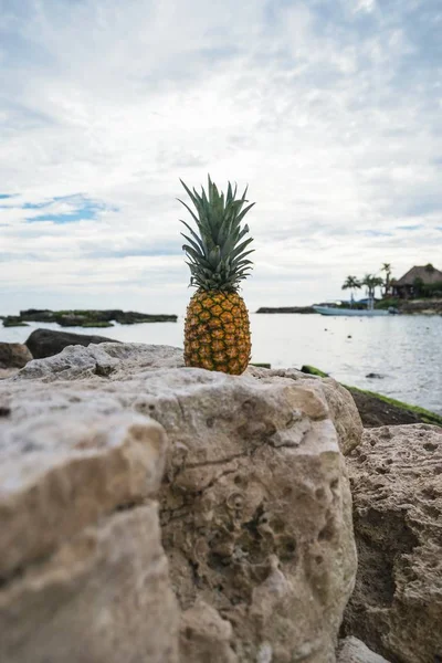 Pineapple on stone