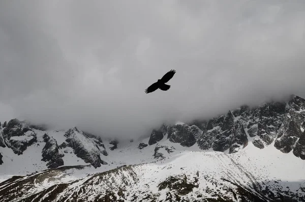 Flying alone in cloud