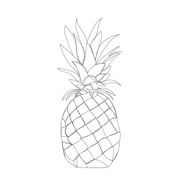 Pineapple - one line art