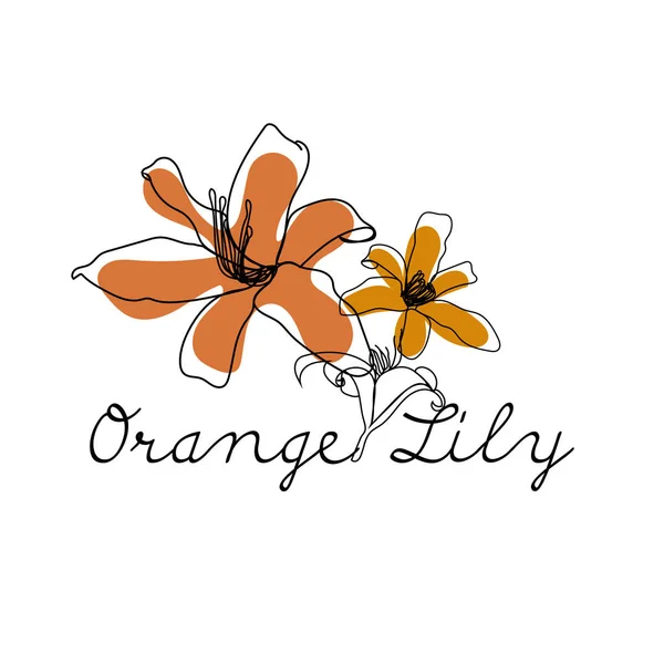 Orange lily flowers line art illustration.