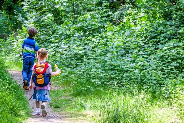 Menino e menina caminhadas na natureza — Fotografia de Stock