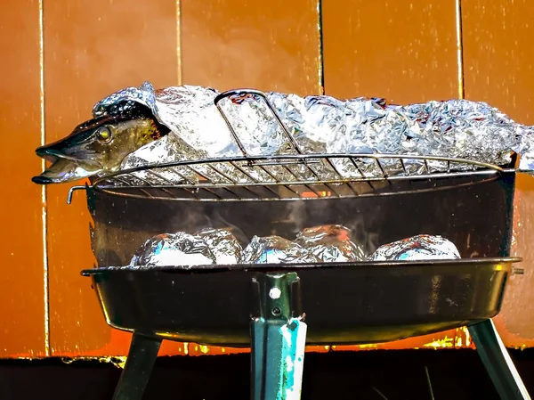 Fresh pike coiled in aluminium foil on barbecue — Stock Image Fresh pike coiled in aluminium foil on barbecue Stock Image