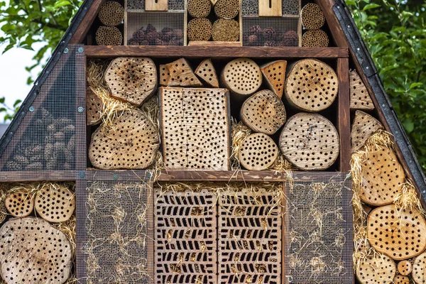 Insect hotel for brood care — Stock Photo, Image