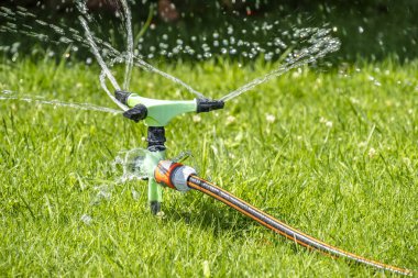 Otomatik sulama sistemi üzerinde sıcak yaz aylarında çalışan yağmurlama