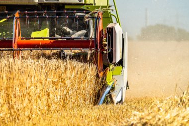Buğday hasat hasat birleştirmek