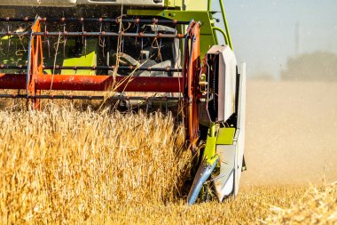 Buğday hasat hasat birleştirmek