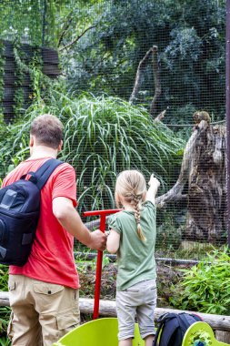 Babası kızı maymunlar hayvanat bahçesinde açıklayan
