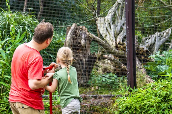 Ojciec, wyjaśniając córka małpy w zoo — Zdjęcie stockowe